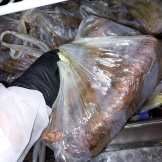 WhatsApp Image 2023-10-04 at 20.21.25 (1) WhatsApp Image 2023-10-04 at 20.21.25 (1)