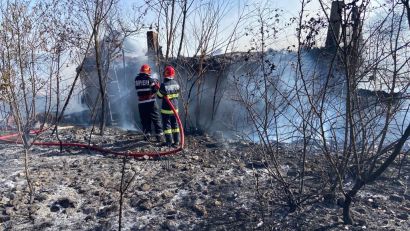 FOTO | TULCEA: Incendiu de vegetație uscată, extins la o casă de locuit din Mahmudia