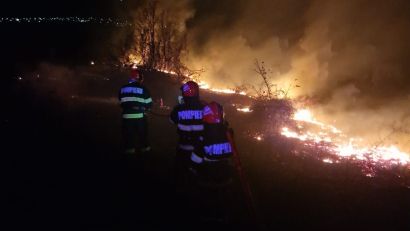 TULCEA/FOTO: Incendiu de proporții – 100 de hectare de vegetație în flăcări