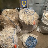 WhatsApp Image 2023-11-25 at 15.10.50 WhatsApp Image 2023-11-25 at 15.10.50