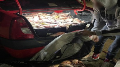 Aproape 300 de kg de pește, descoperite de polițiștii de frontieră în portbagajul unui autoturism, în zona localităţii Hârşova