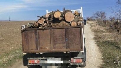 Transport de material lemnos fără documente de provenienţă. Şoferul a fost sancţionat contravenţional