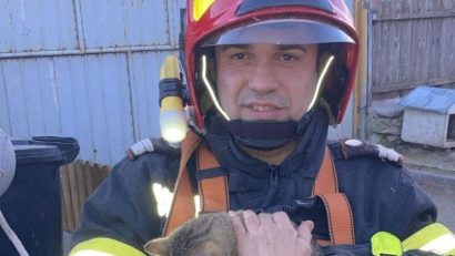 O pisică mult prea curioasă, salvată dintr-o fântână de pompierii tulceni