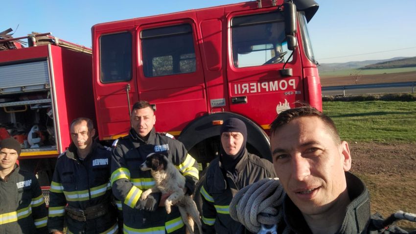 TULCEA: Două căţeluse ce căzuseră într-un puţ adânc de 8 metri, salvate de pompierii de la Staţia Babadag TULCEA: Două căţeluse ce căzuseră într-un puţ adânc de 8 metri, salvate de pompierii de la Staţia Babadag