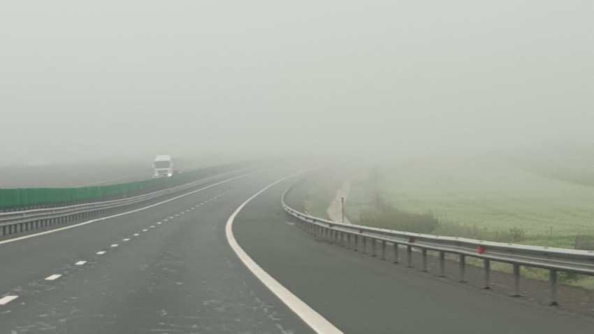 ceata autostrada Soarelui A2 - foto - Adina Sirbu