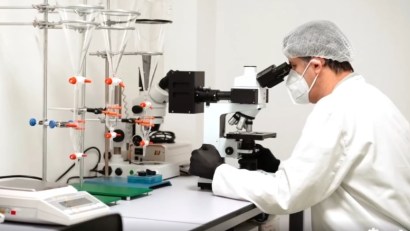 Scoicile și rapanele din Marea Neagră, SIGURE pentru consum
