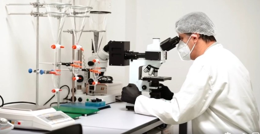 Scoicile și rapanele din Marea Neagră, SIGURE pentru consum