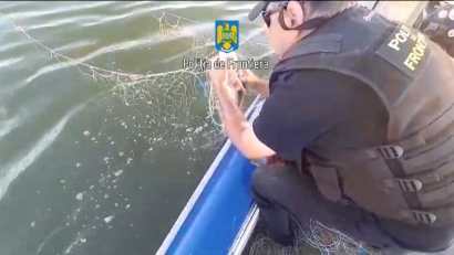 700 metri de plase, 87 kilograme de pește şi un exemplar de sturion au fost descoperite de polițiștii de frontieră