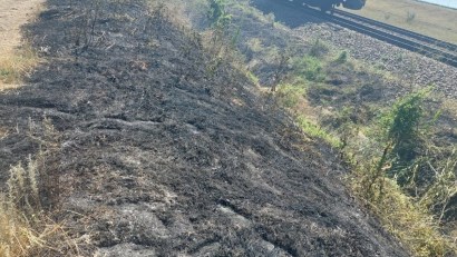Circulația mai multor trenuri de călători a fost afectată de un incendiu de vegetație uscată