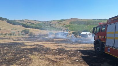 UPDATE / TULCEA: Pompierii încearcă să stingă un incendiu de vegetaţie uscată în aproprierea unei păduri de conifere din localitatea Cerna