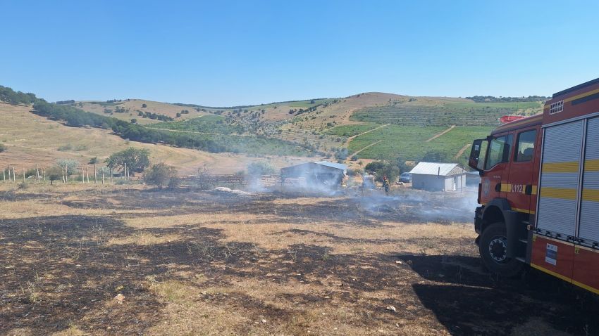 UPDATE / TULCEA: Pompierii încearcă să stingă un incendiu de vegetaţie uscată în aproprierea unei păduri de conifere din localitatea Cerna