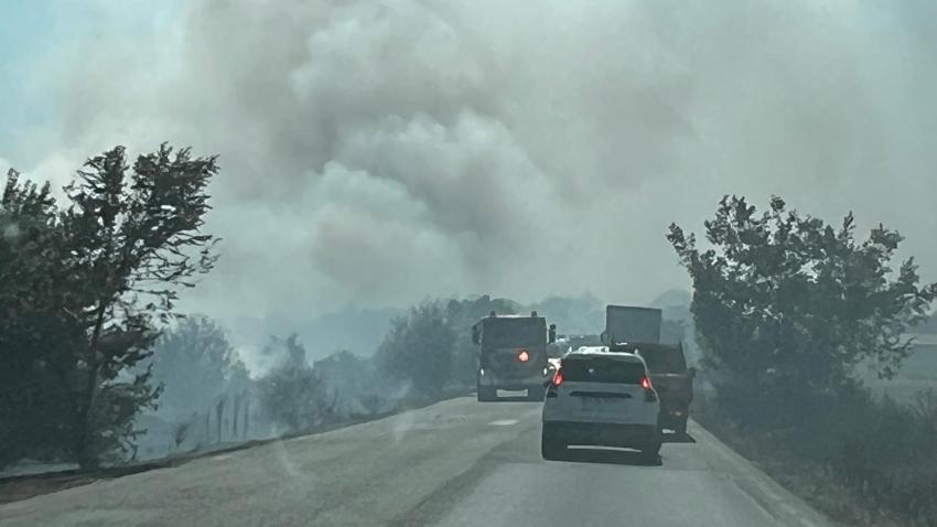 UPDATE/VIDEO: Incendiu de vegetație lângă azilul de bătrâni. Circulația rutieră și feroviară este oprită