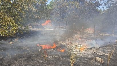 În cursul zilei de marţi, pompierii tulceni au intervenit în 19 situații de urgență
