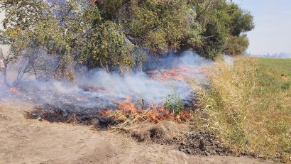 TULCEA: Peste 500 de hectare de grâu, miriște și stuf din Deltă, mistuite de flăcări
