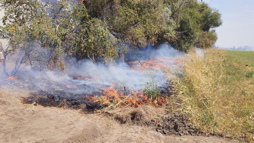 TULCEA: Peste 500 de hectare de grâu, miriște și stuf din Deltă, mistuite de flăcări