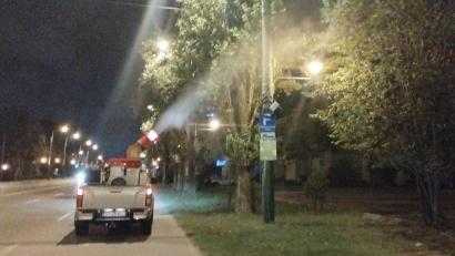 În zonele verzi din Constanța și Mamaia se aplică tratamente fitosanitare