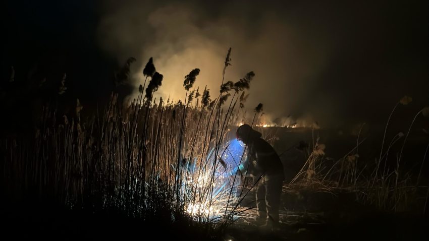 Județul TULCEA: Pompierii se luptă cu mai multe focare de foc