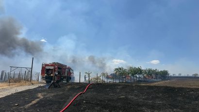 TULCEA: O stână de oi, în pericol din cauza unui incendiu