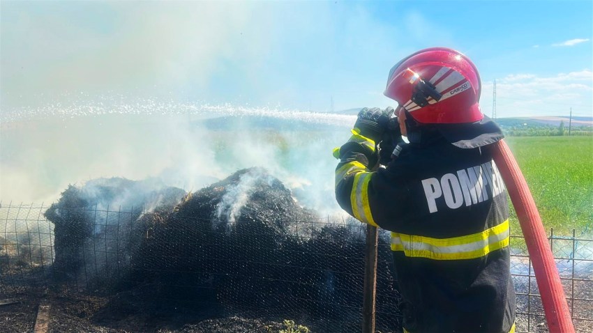 TULCEA: 14 porci au murit în incendiul care a izbucnit la anexele unei ferme din municipiu TULCEA: 14 porci au murit în incendiul care a izbucnit la anexele unei ferme din municipiu