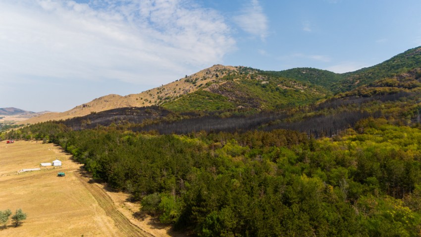 Incendiul din Munții Măcinului. Un test de foc pentru oameni și natură Incendiul din Munții Măcinului. Un test de foc pentru oameni și natură