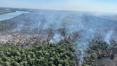 Peste 30 de pompieri și 11 mijloace de intervenție se luptă cu incendiul izbucnit în zona localității Chilia Veche, județul TULCEA