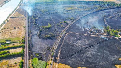 UPDATE | MEDGIDIA: Incendiul violent de vegetație a făcut o victimă și a dat peste cap traficul feroviar
