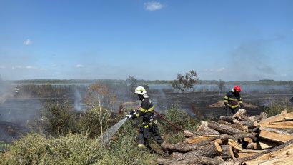 UPDATE / Pompierii tulceni intervin pentru stingerea unui incendiu de vegetație uscată, în localitatea Murighiol
