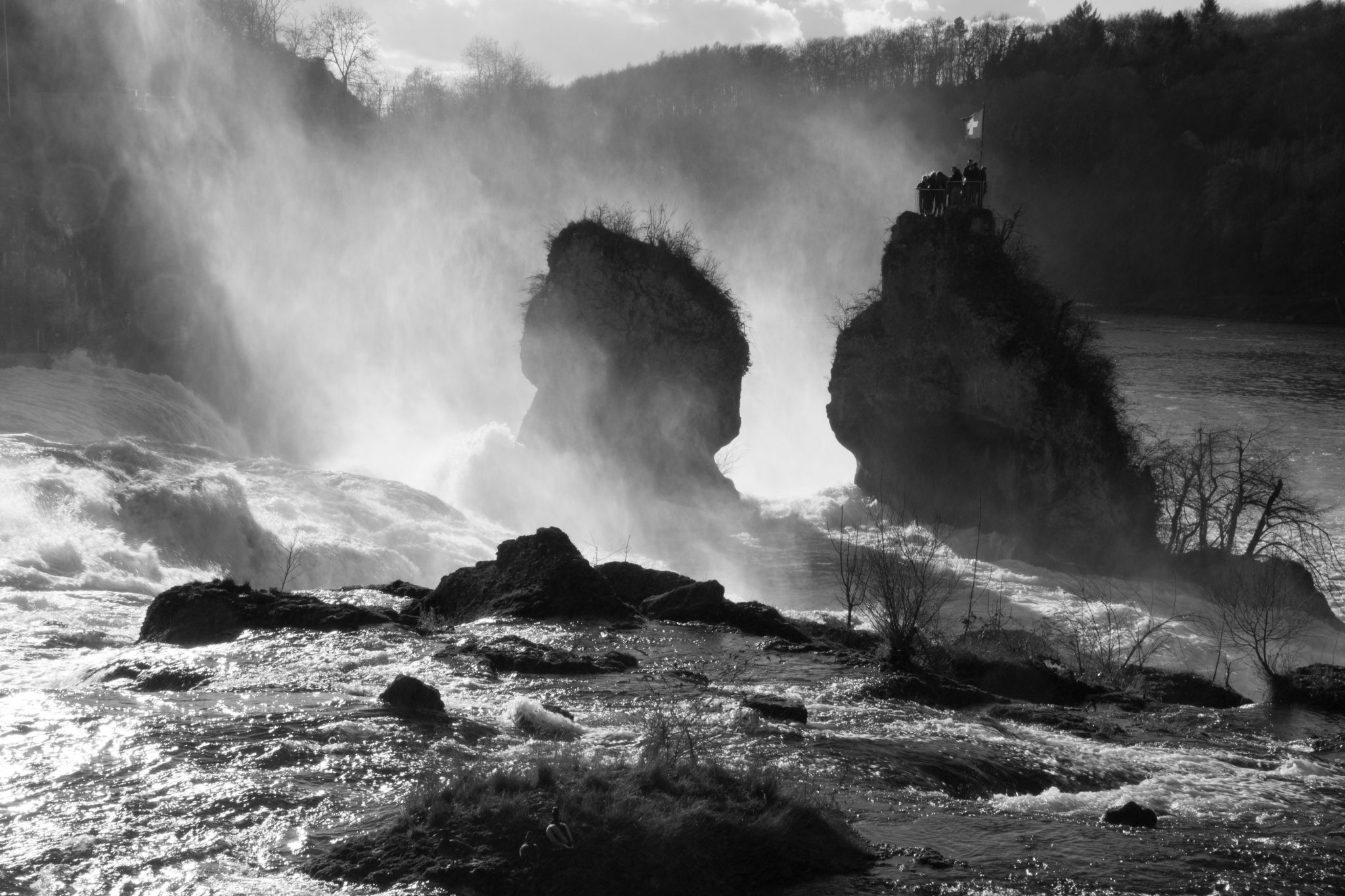 Rheinfall