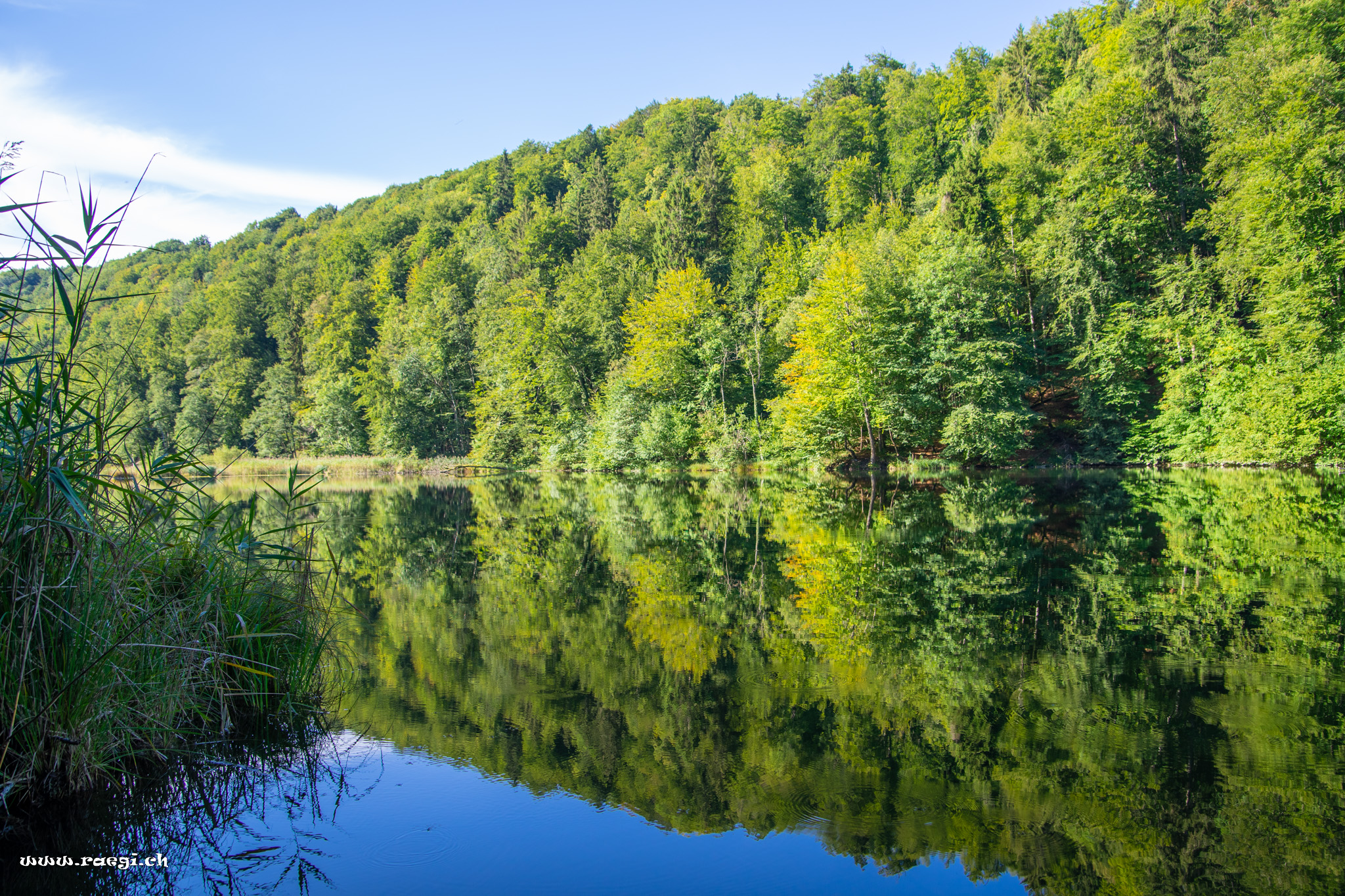 Egelsee