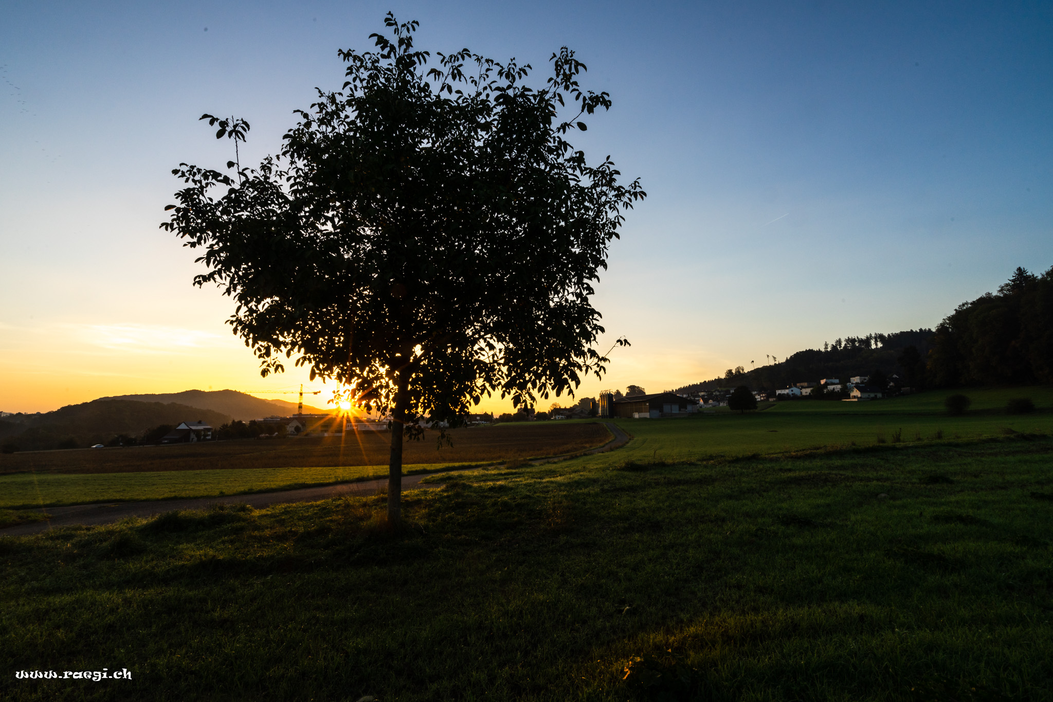 Killwangen im Morgenlicht