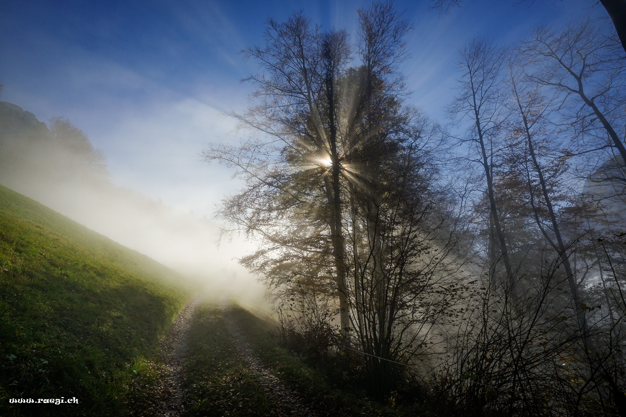 Der Weg zum Seppe Bänggli