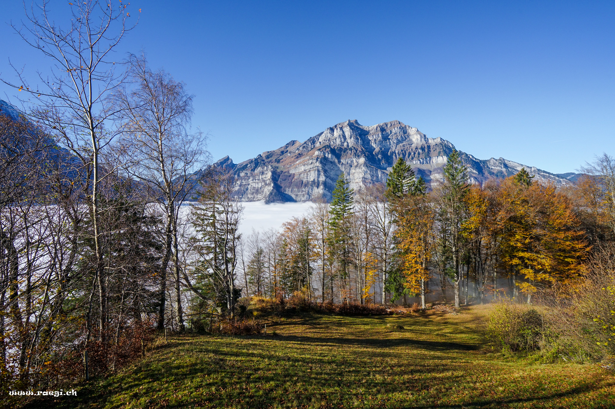 Der Rautispitz über dem Nebelmeer