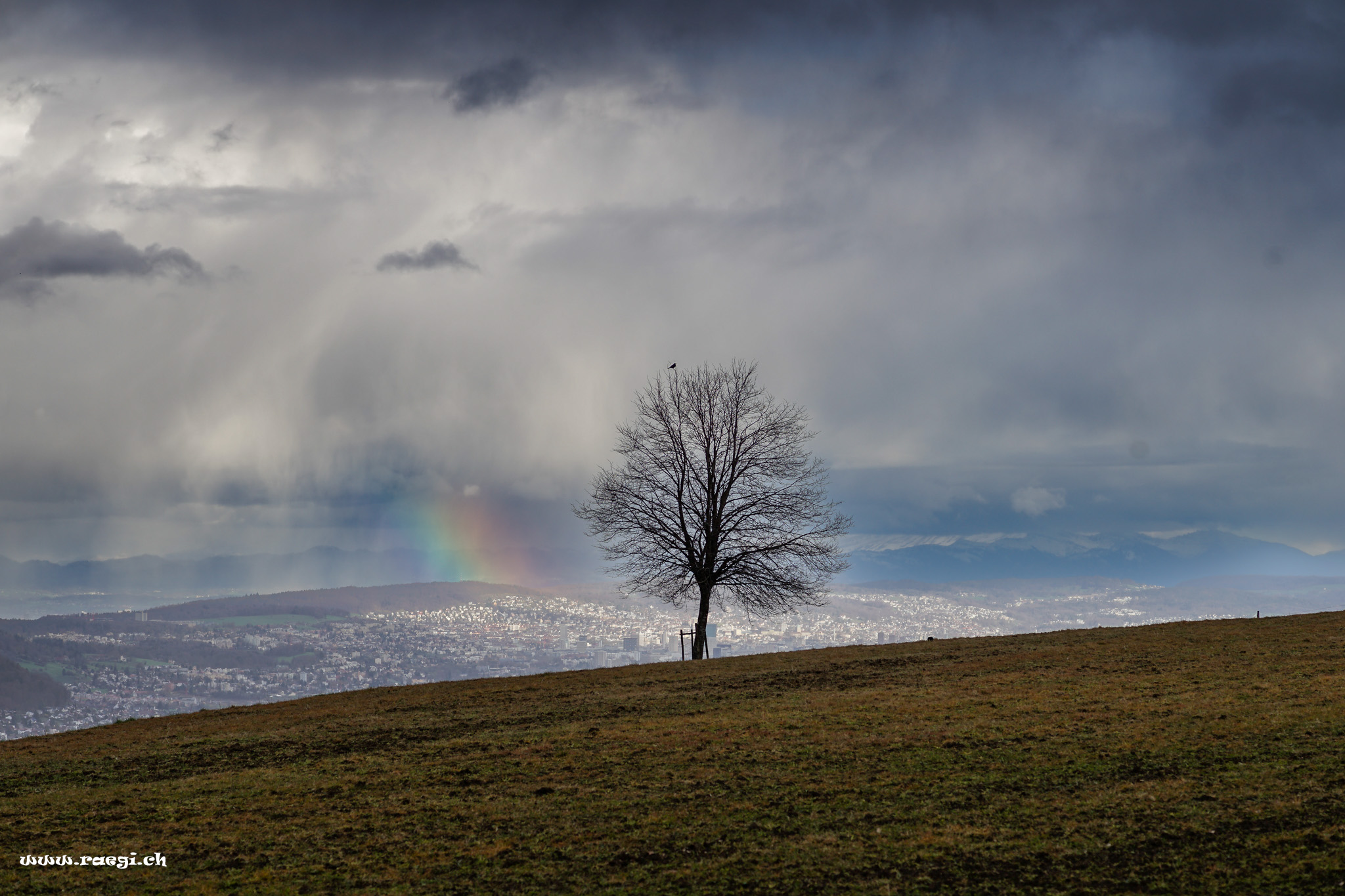 Rainbow