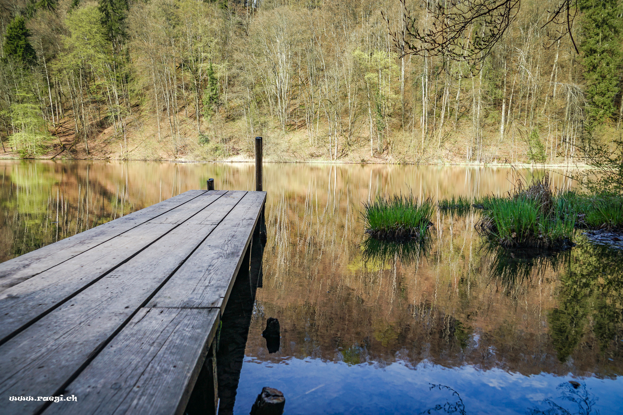 Egelsee