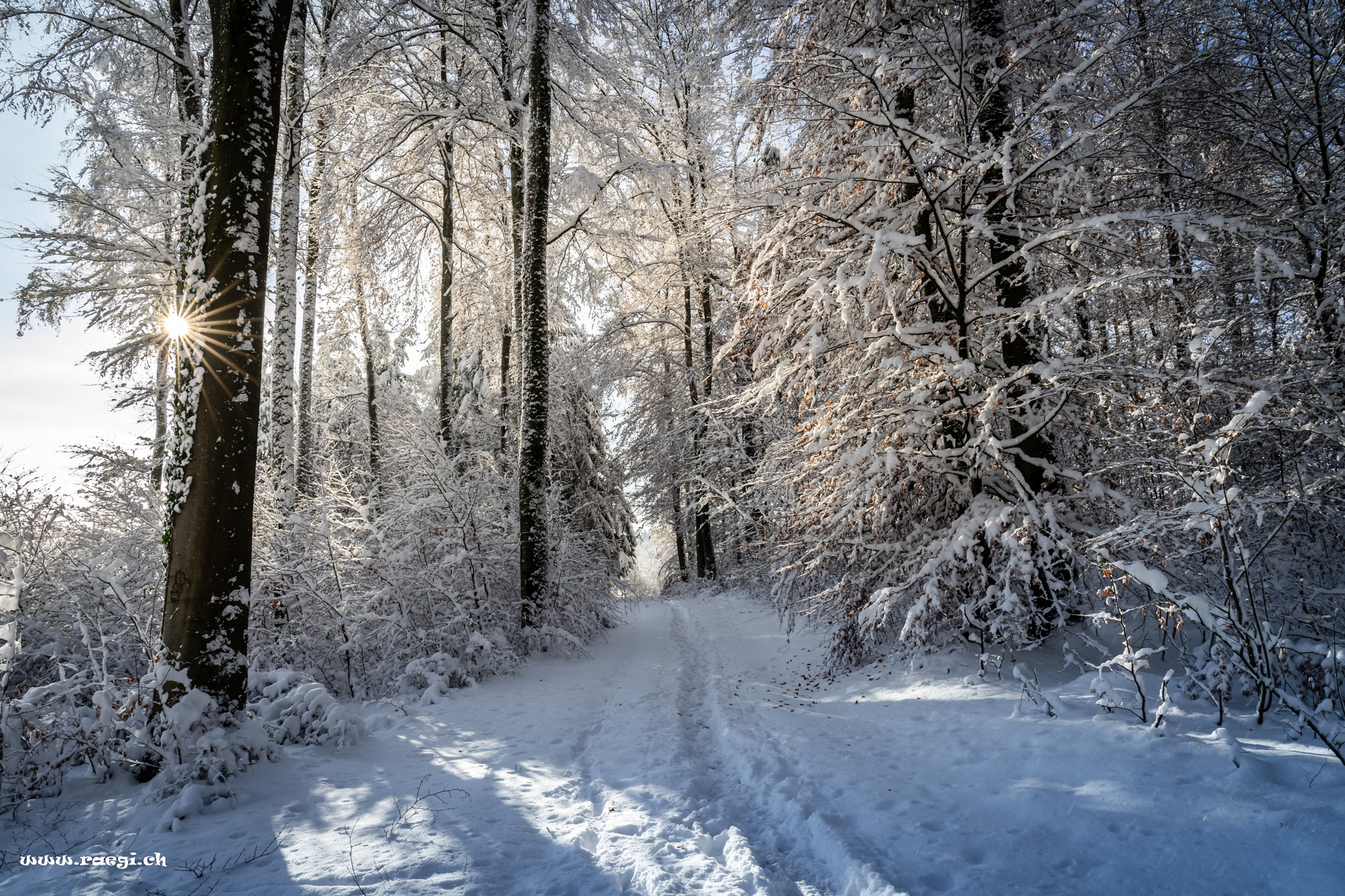 Schnee