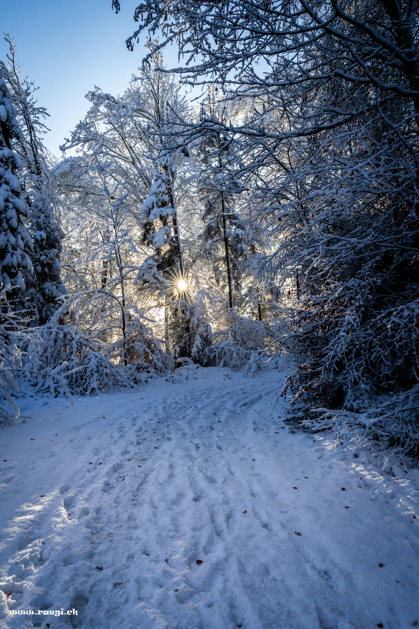 Winter