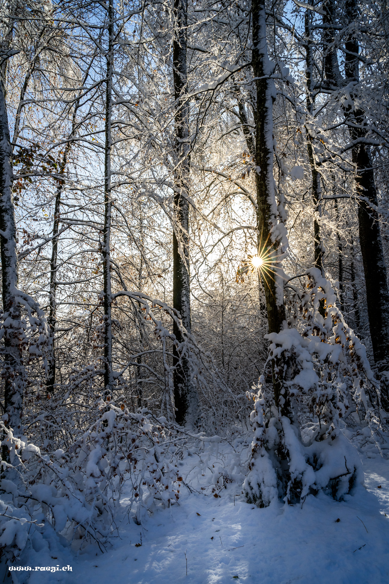 Wintertraum