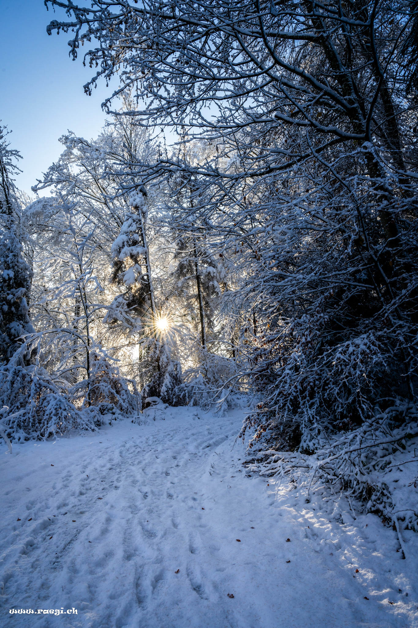 Winterspaziergang
