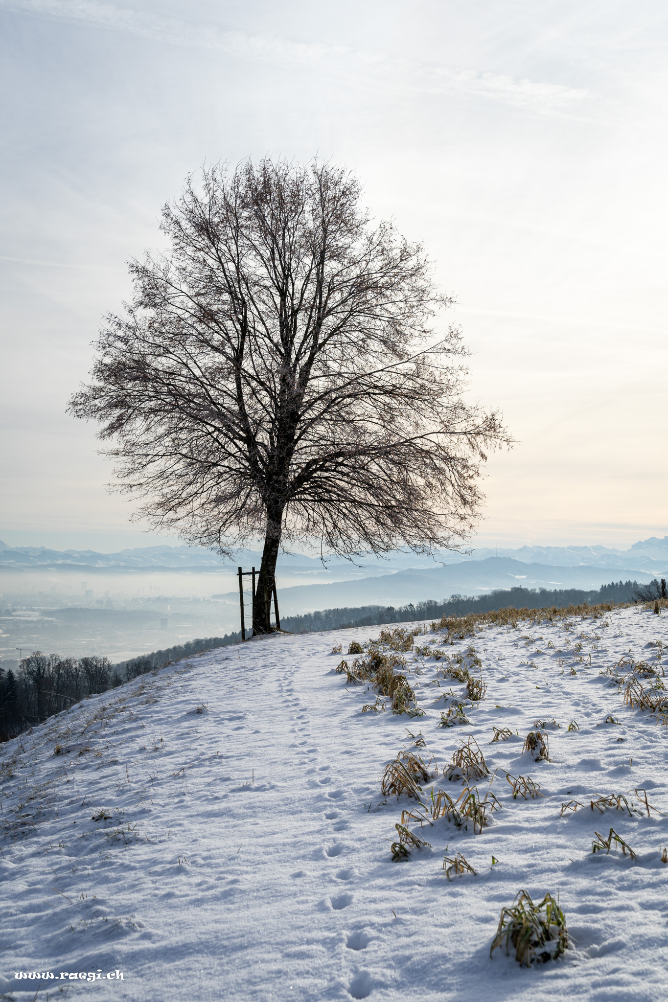 Spuren im Schnee