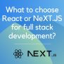 What To Choose React Or NeXT.JS For Full Stack Development?
