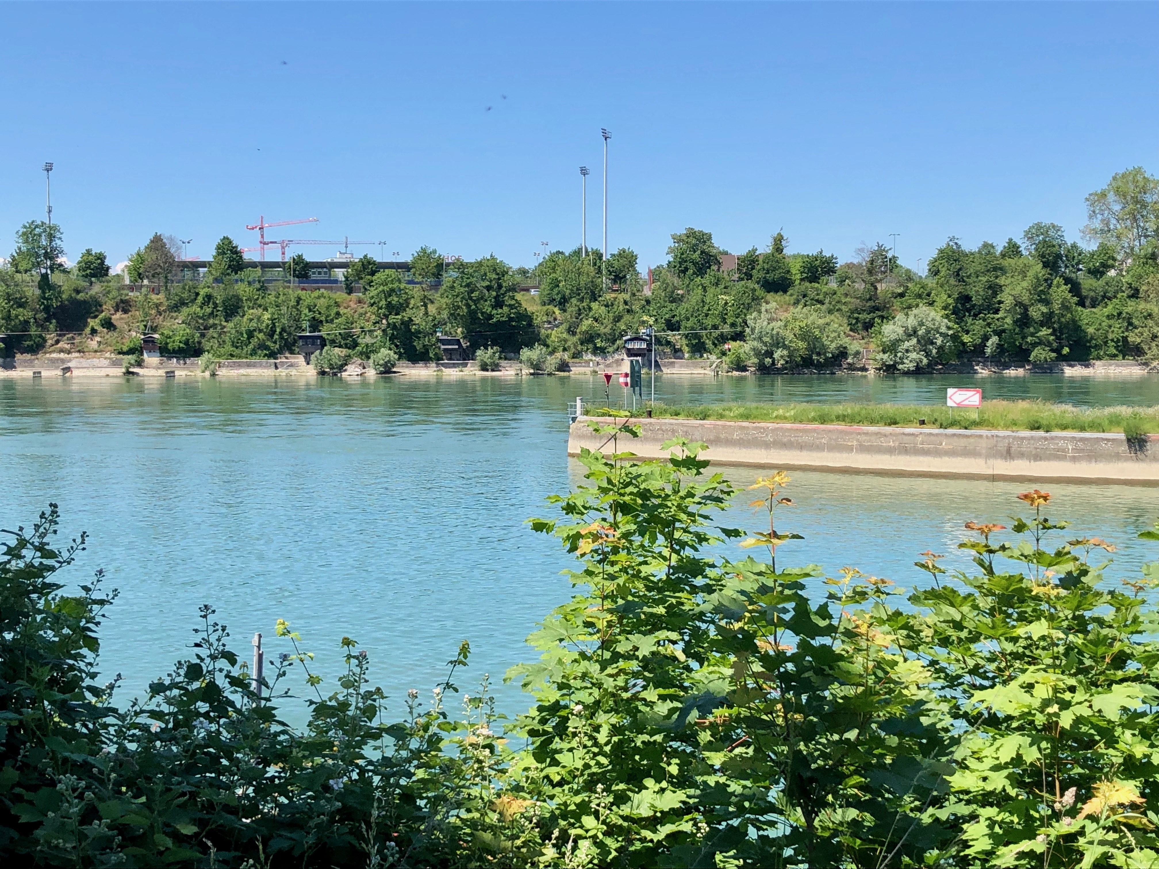 Rheinspaziergang, 02.06.2019 8 IMG 4775