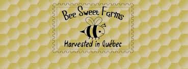 David H. L. M. – Revolutionizing Bee Farming