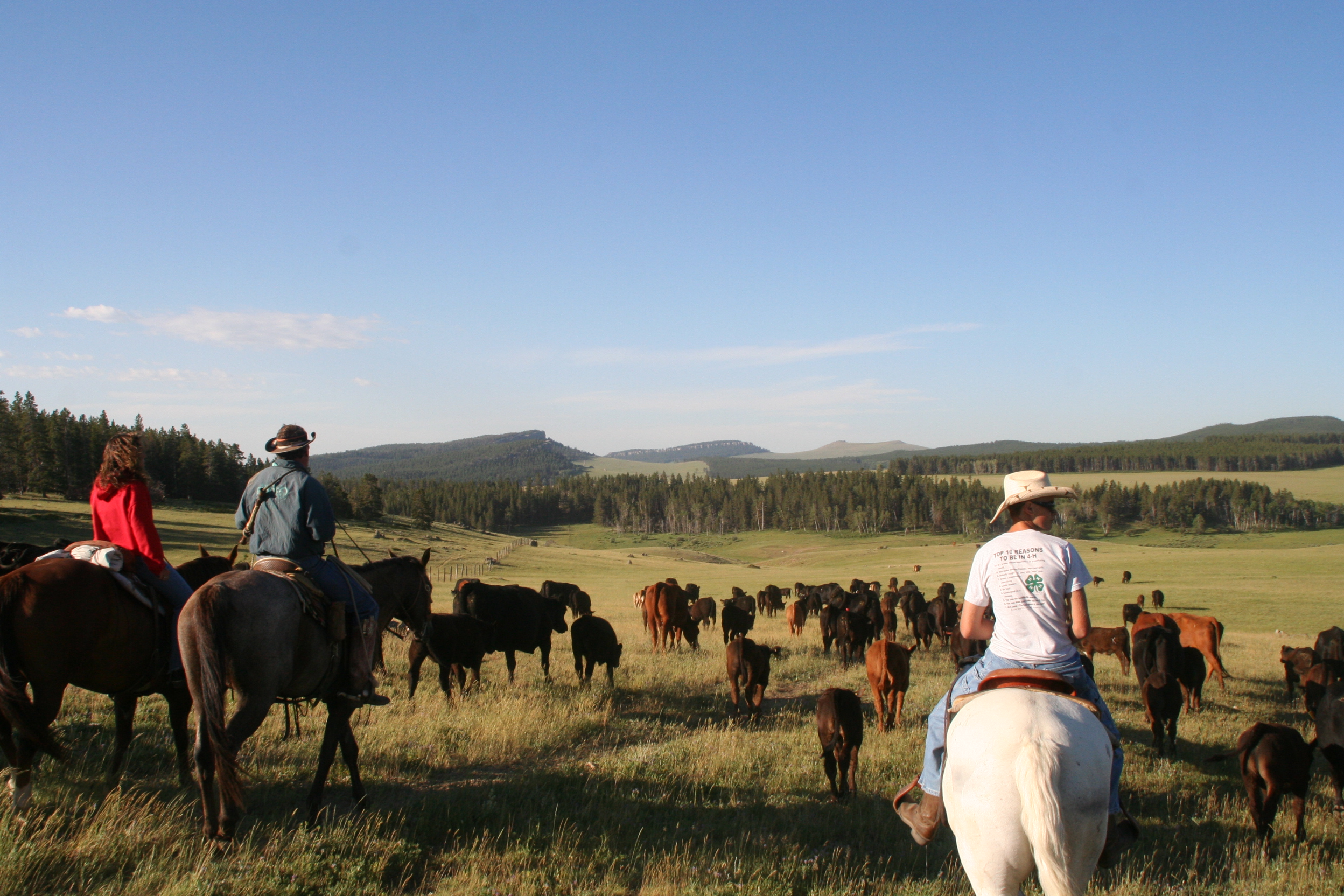 Texas is home to some of the most famous private golf courses. Klondike Ranch - RanchSeeker