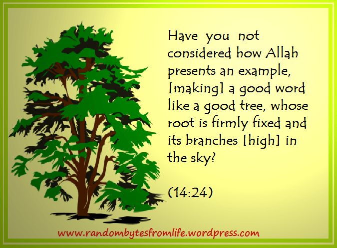  On Jivahira But they do not mislead except themselves and they will not harm you at all.