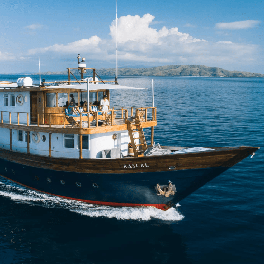 Our Fleet Rascal Voyages - Gorgeous Desktop Light Patterns | Free Download