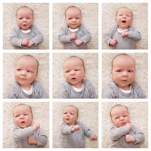 Carter collage small