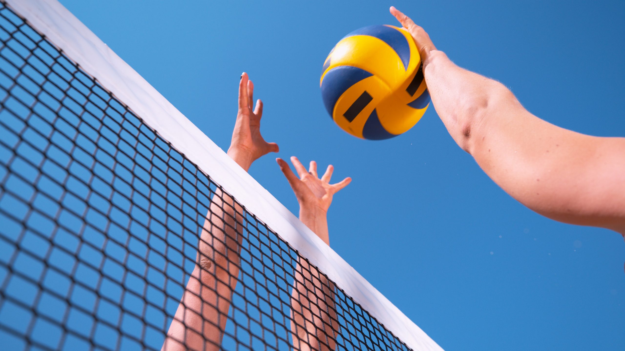 Rbhs Volleyball Looks To Build On Mixed Success Last Spring Riverside Brookfield Landmark