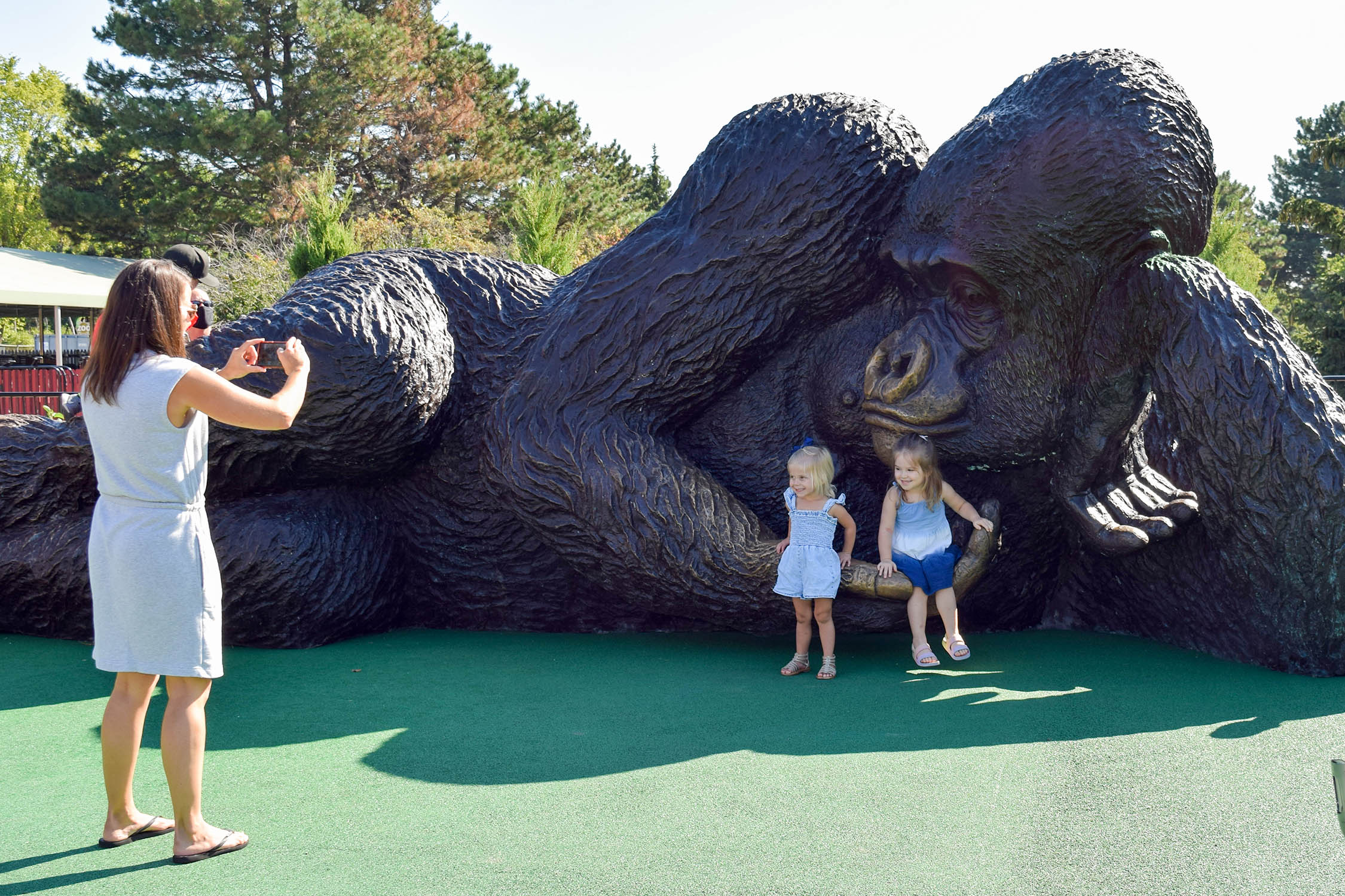 Brookfield Zoo now home to world's largest gorilla sculpture ...