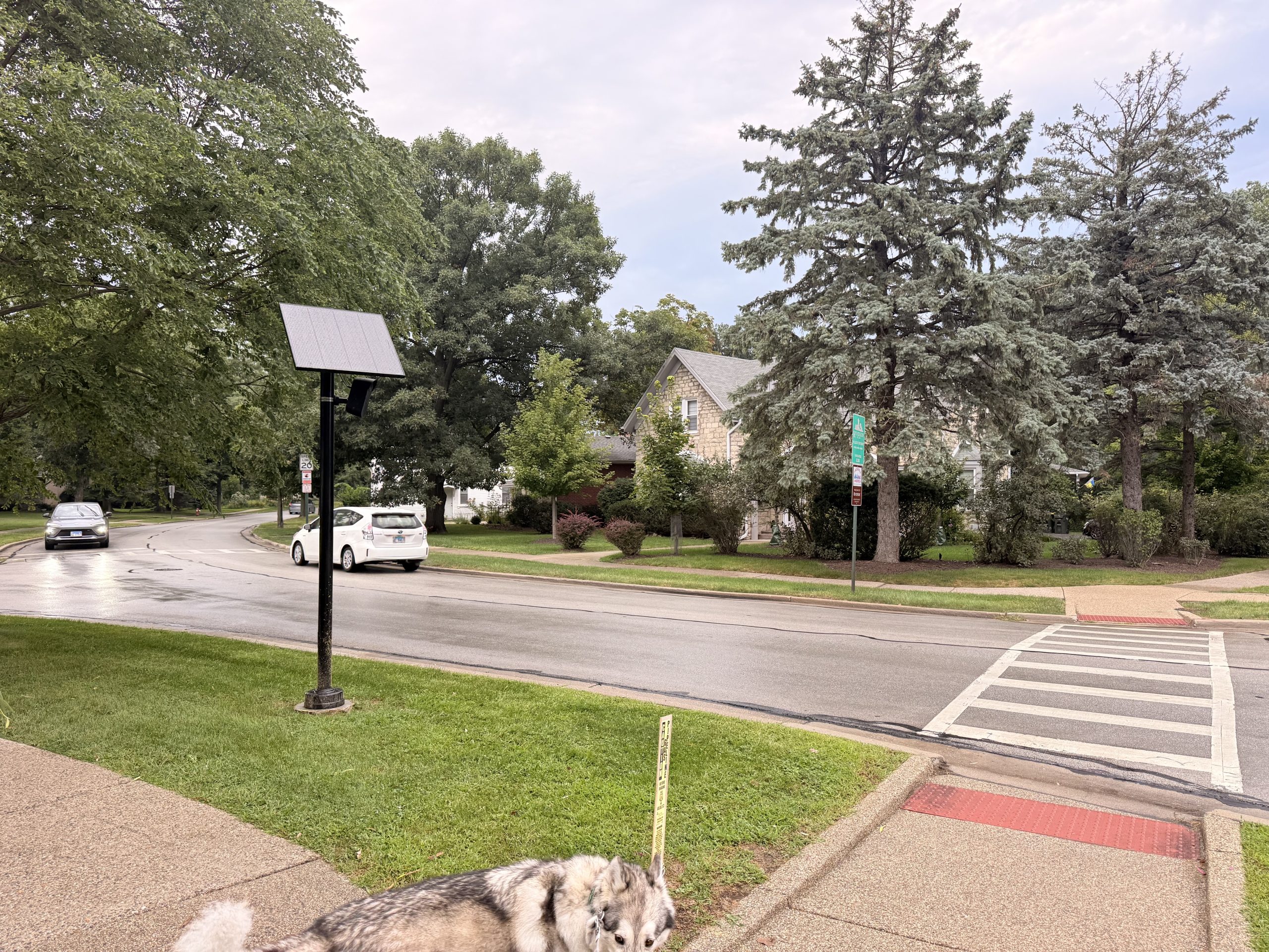 A camera pole with solar energy panels above it stands on the parkway next to a street. A house and some trees are visible behind it.