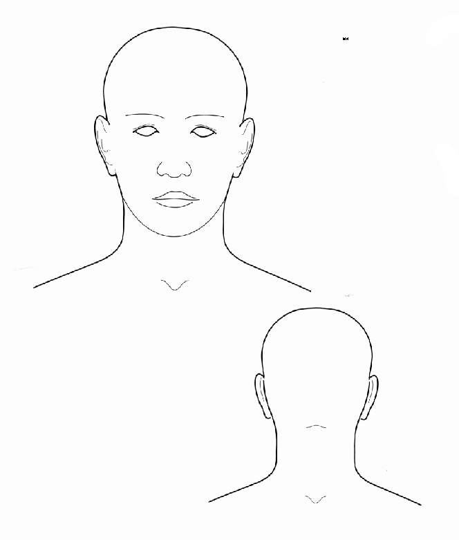Male muscular system, full anatomical body diagram with muscle scheme, vector illustration educational poster. Clinical Practice Guidelines : Child Abuse Diagrams